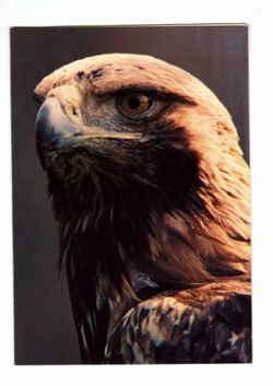 68b877a3930964.99396638.pdf page 1