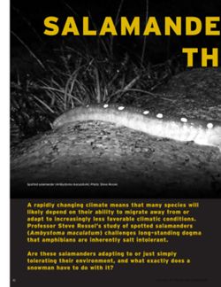 68dd605222d8b2.85529569.pdf page 18