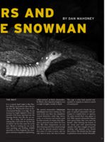 68dd605222d8b2.85529569.pdf page 19