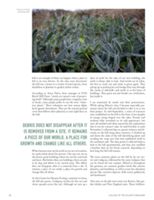 68dd605222d8b2.85529569.pdf page 28