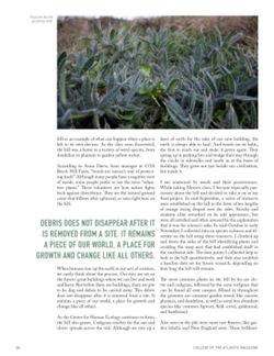 68dd605222d8b2.85529569.pdf page 28