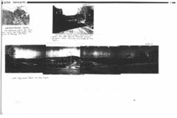 694192e36b3d29.77983396.pdf page 7