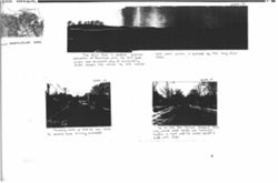 694192e36b3d29.77983396.pdf page 8