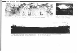 694192e36b3d29.77983396.pdf page 29