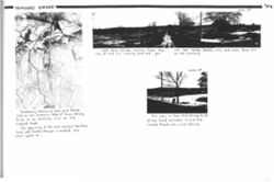 694192e36b3d29.77983396.pdf page 32