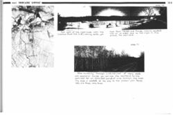 694192e36b3d29.77983396.pdf page 33