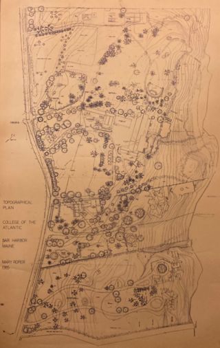 Topographical Plan, College of the Atlantic, Bar Harbor, Maine