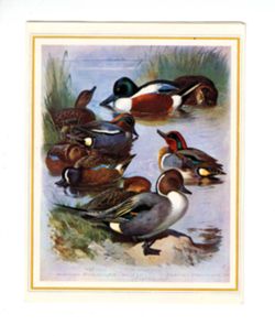 696e8a47df2c33.62287750.pdf page 1