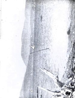 699a6f47e95c73.45466594.pdf page 33