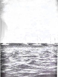 699a72205c4e07.13558543.pdf page 62