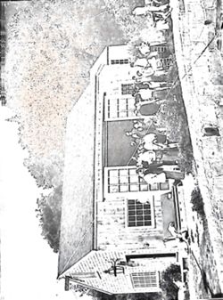 699a7b9abc7961.36490320.pdf page 7